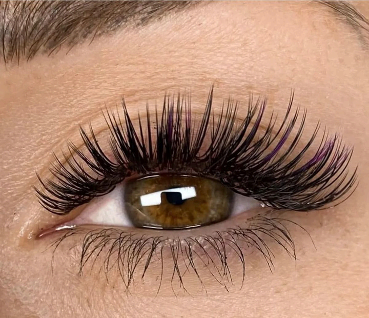 Hibridas Glossy
