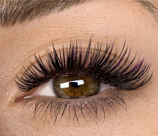 Hibridas Glossy